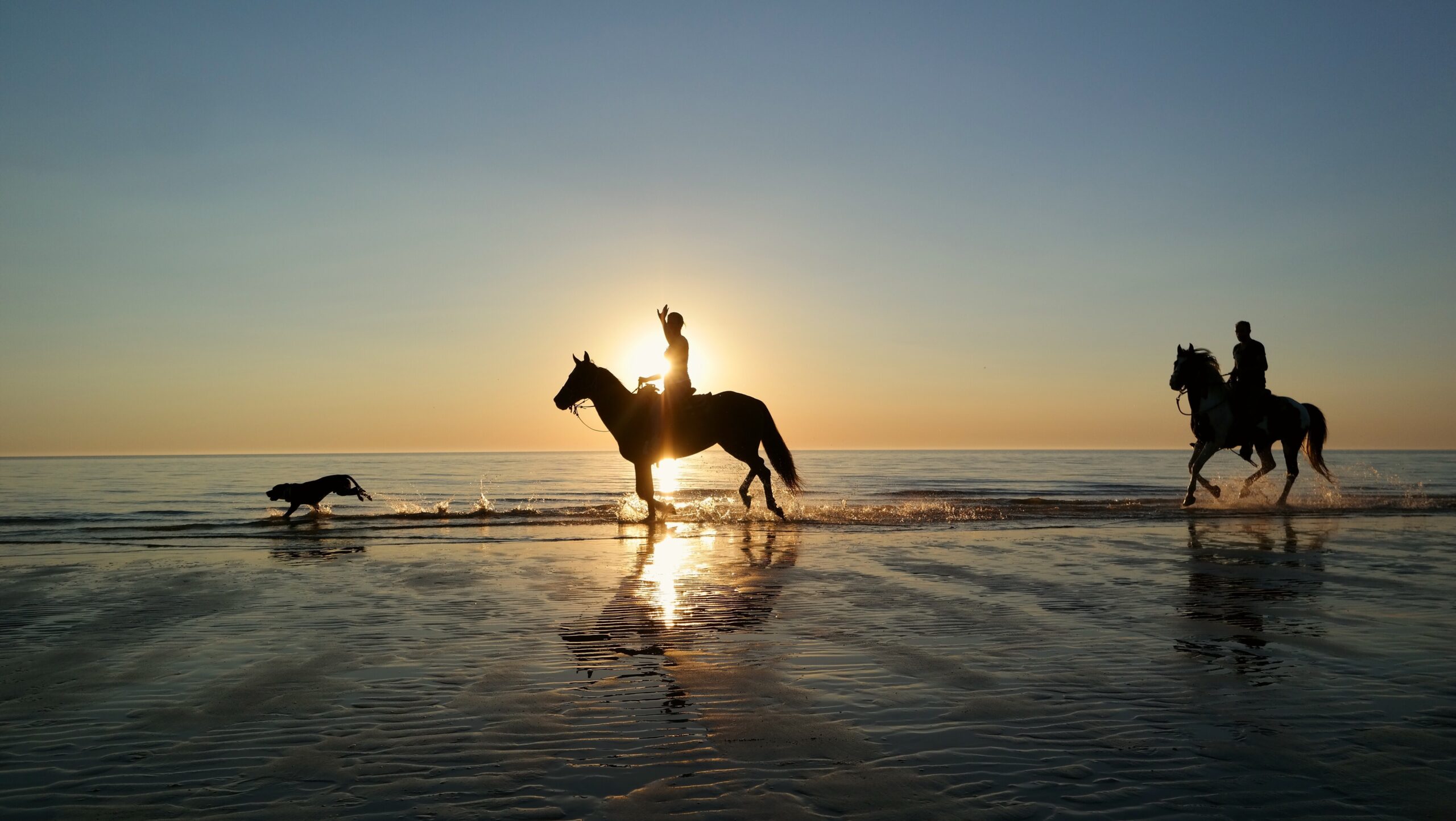 Horse Riding Exploring Horse Riding in Essaouira: Explore the Coast on Horseback